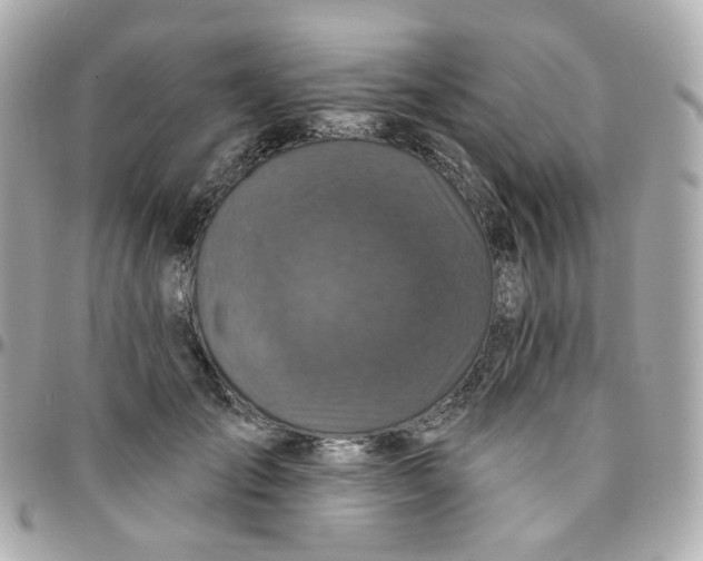 X0000095900701200802011128