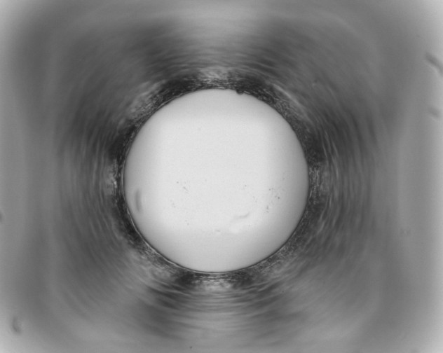 X0000095900702200802011128