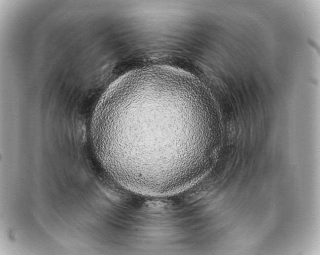 X0000095900703200802011128