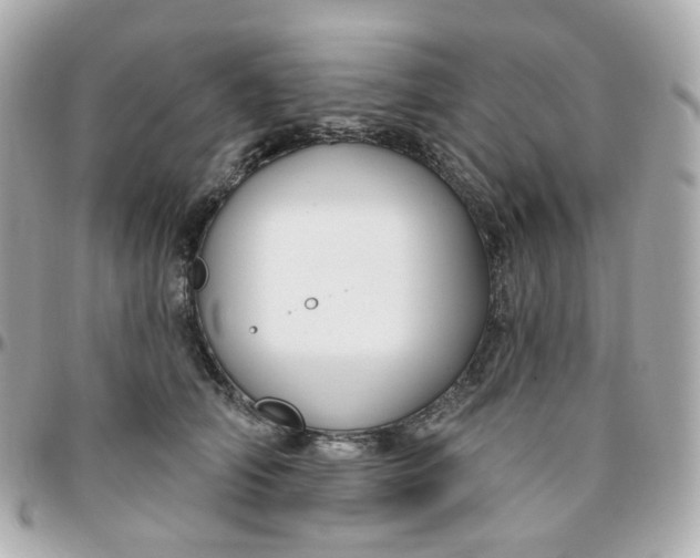 X0000095900706200802011128