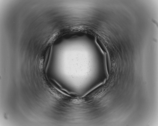 X0000095900708200802011128