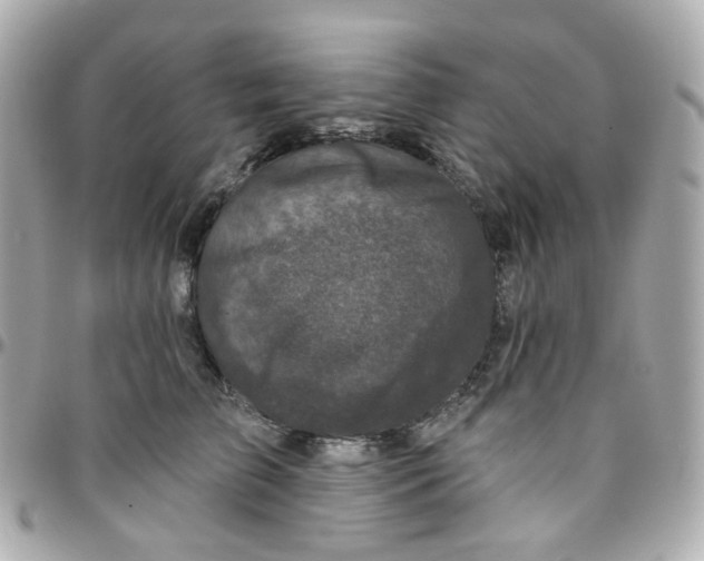 X0000095900709200802011128