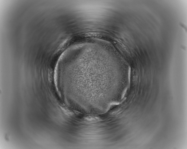 X0000095900712200802011128