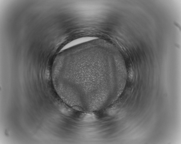 X0000095900715200802011128