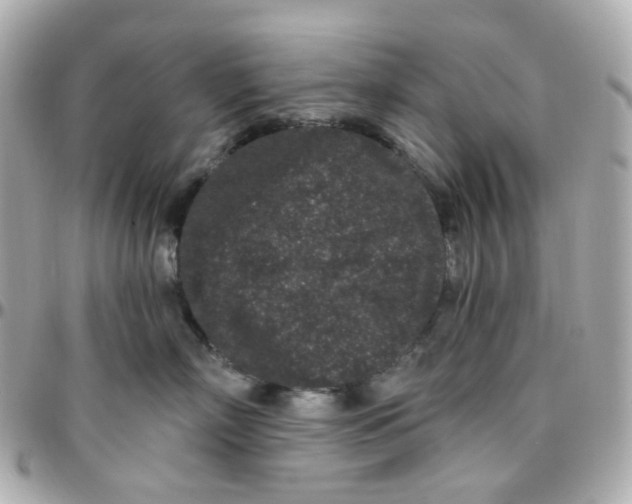 X0000095900718200802011128