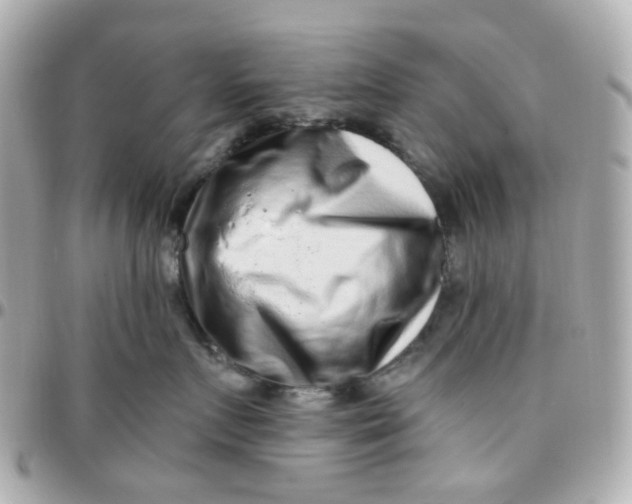 X0000095900719200802011128