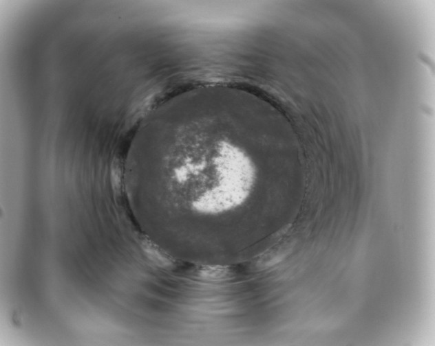 X0000095900720200802011128