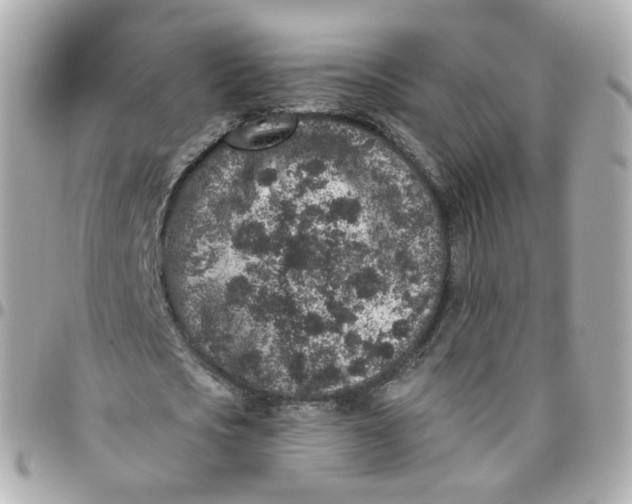 X0000095900721200802011128