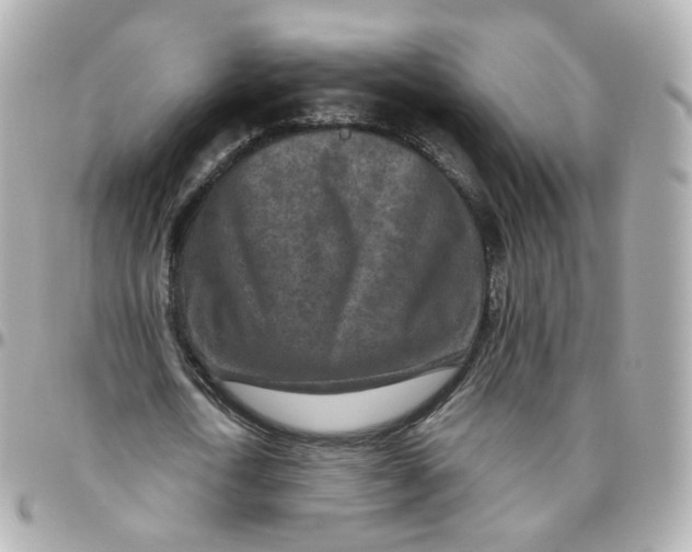 X0000095900722200802011128