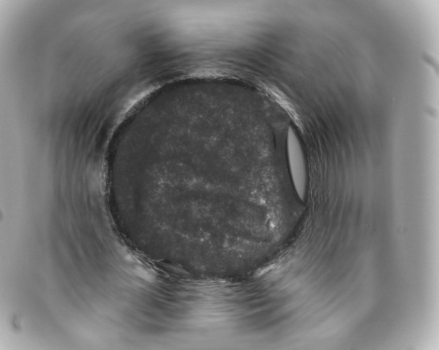 X0000095900724200802011128