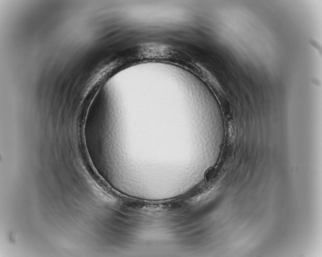 X0000095900725200802011128