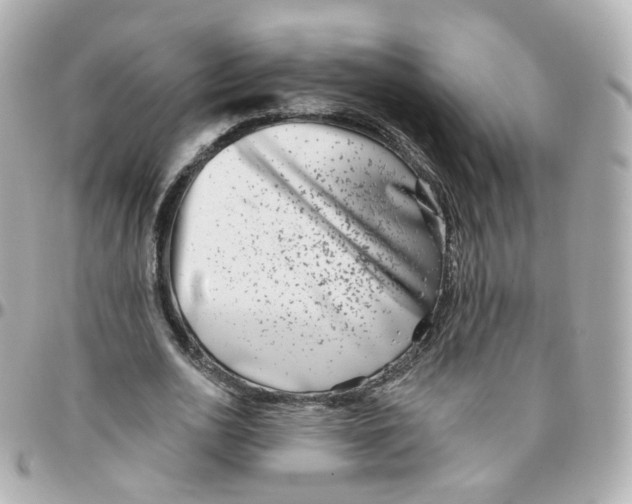 X0000095900726200802011128