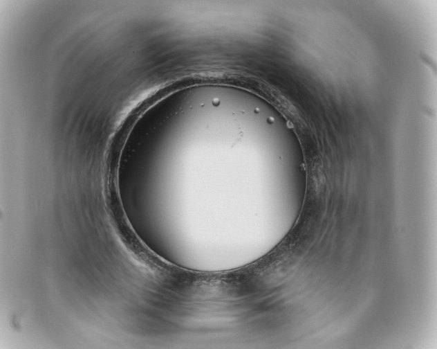 X0000095900728200802011128