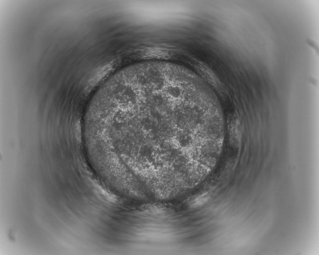 X0000095900729200802011128