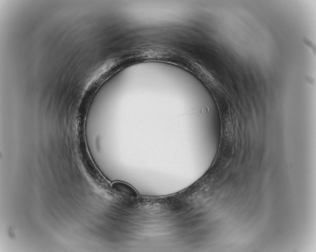 X0000095900730200802011128