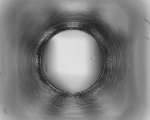 X0000095900731200802011128