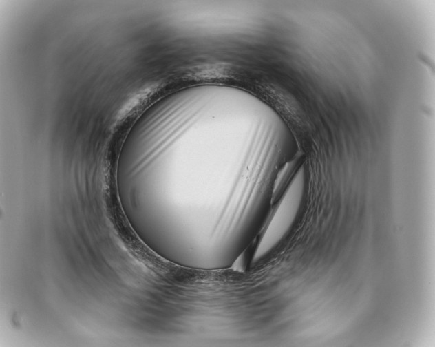 X0000095900732200802011128