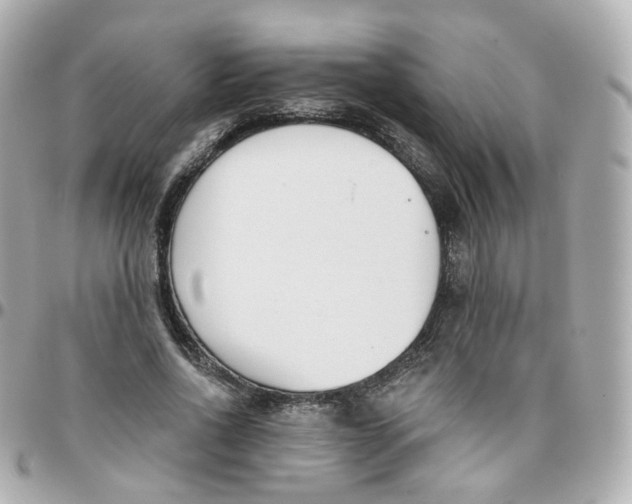 X0000095900734200802011128