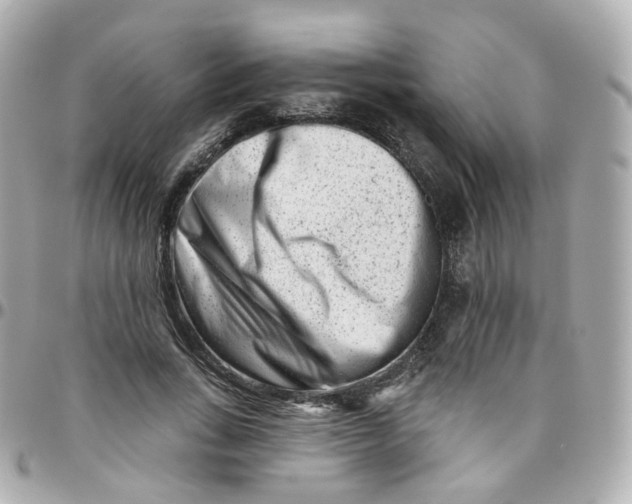 X0000095900735200802011128