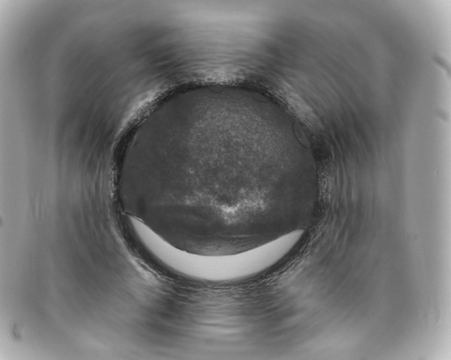 X0000095900736200802011128