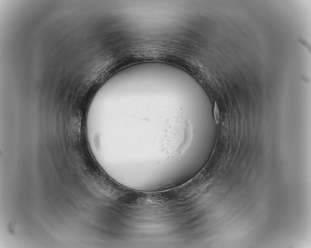 X0000095900739200802011128