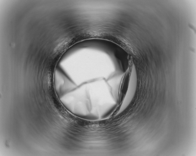 X0000095900740200802011128