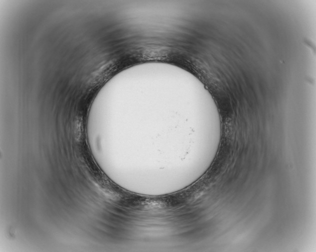 X0000095900741200802011128