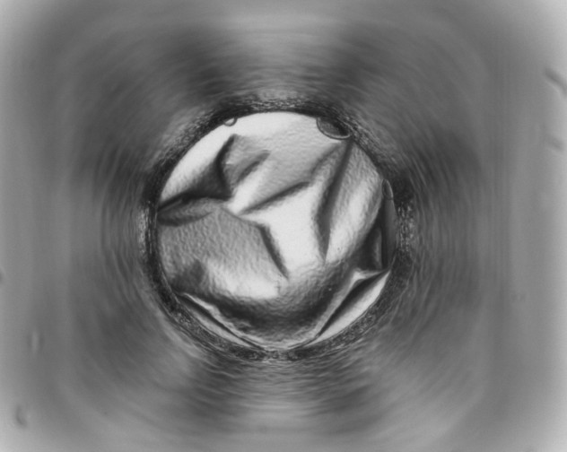 X0000095900742200802011128