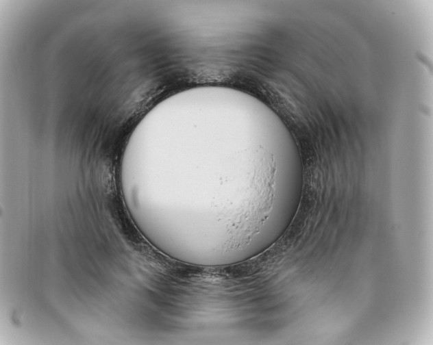 X0000095900743200802011128