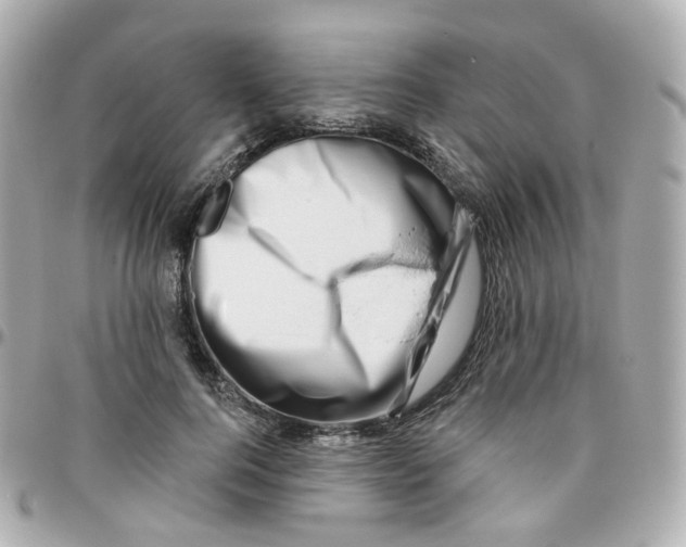 X0000095900744200802011128