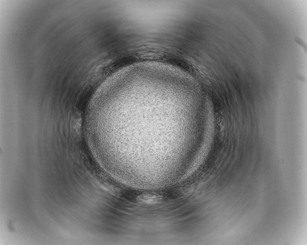 X0000095900745200802011128