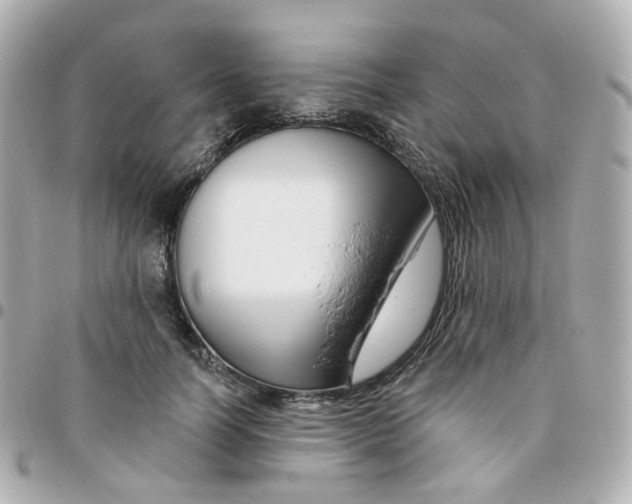 X0000095900746200802011128