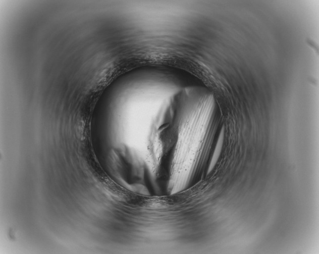 X0000095900750200802011128