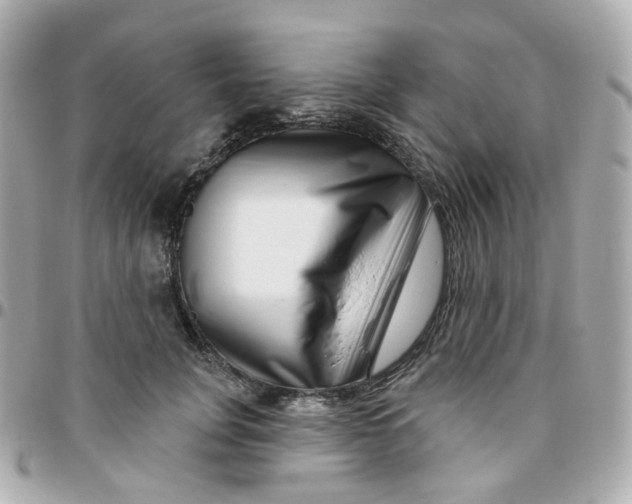 X0000095900751200802011128