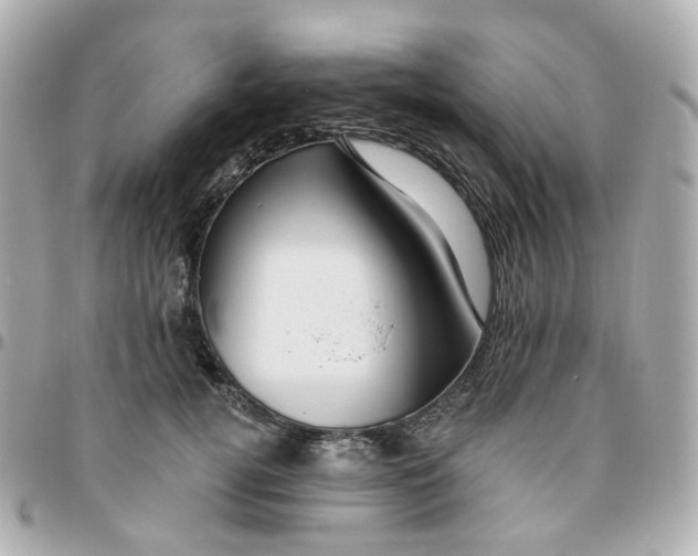 X0000095900752200802011128