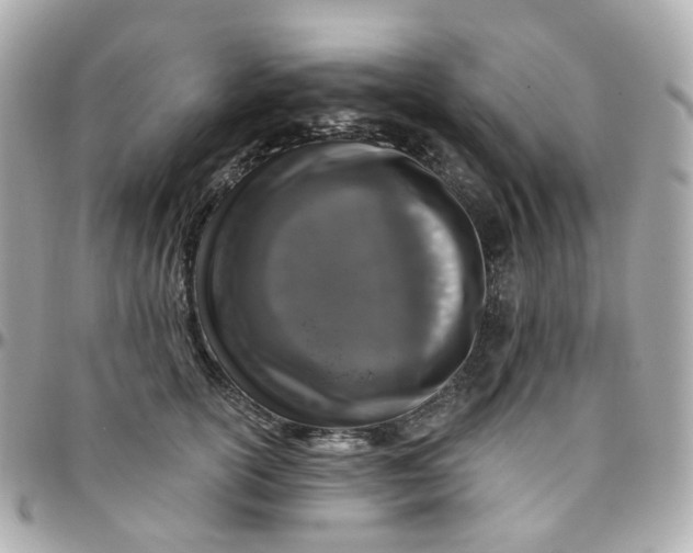 X0000095900754200802011128