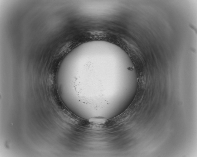 X0000095900756200802011128