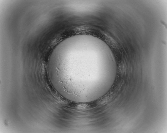 X0000095900757200802011128