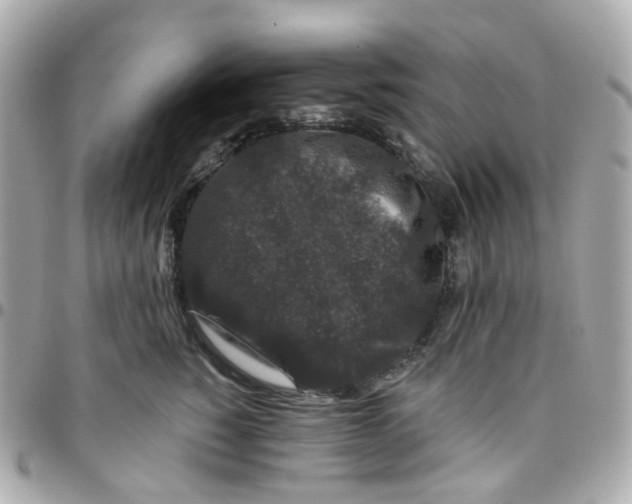 X0000095900760200802011128