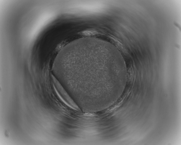 X0000095900762200802011128