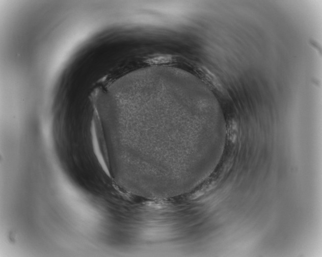 X0000095900763200802011128