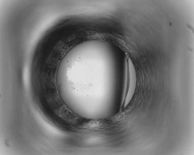 X0000095900764200802011128