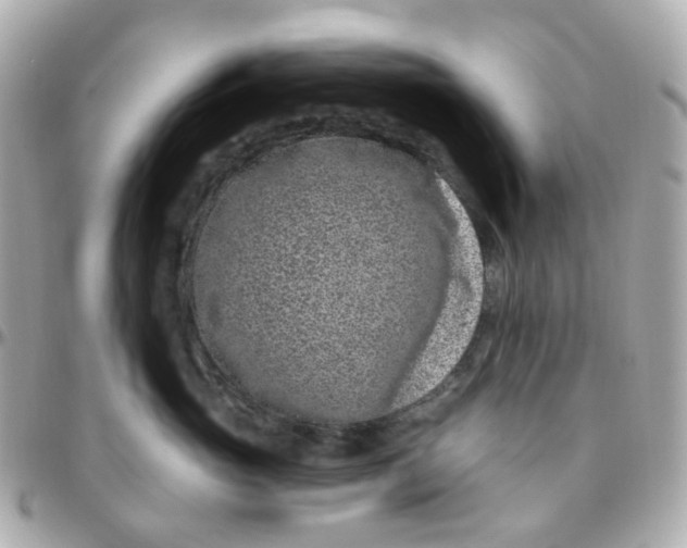 X0000095900765200802011128