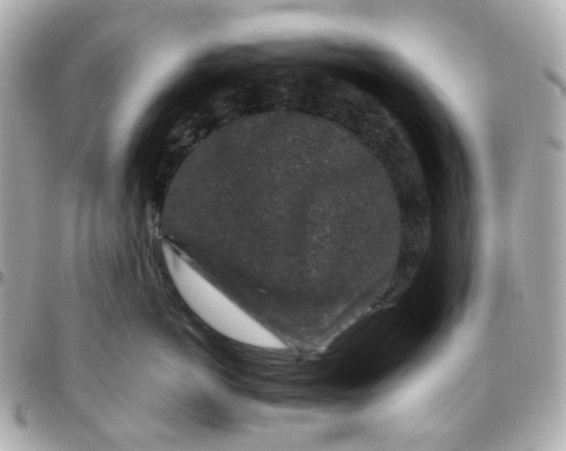 X0000095900766200802011128