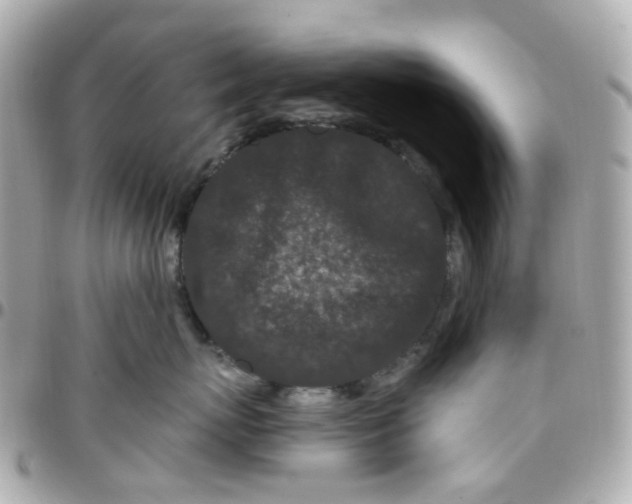 X0000095900767200802011128