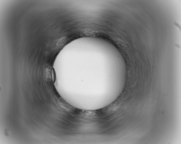 X0000095900768200802011128