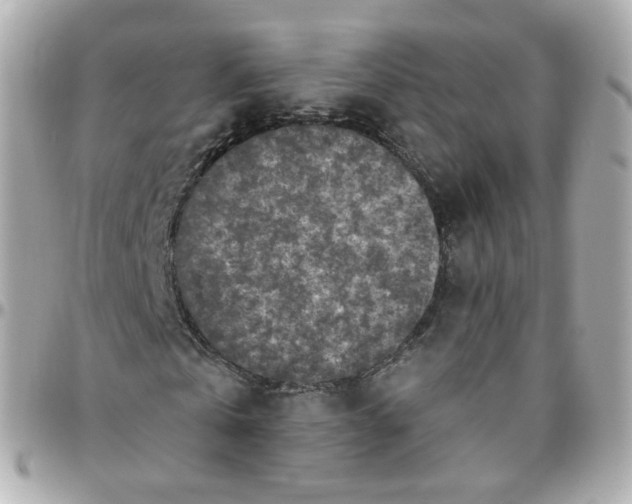 X0000095900769200802011127