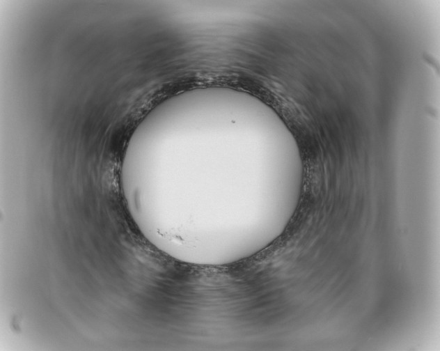 X0000095900770200802011127