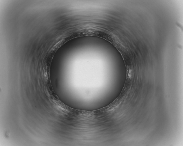 X0000095900771200802011127