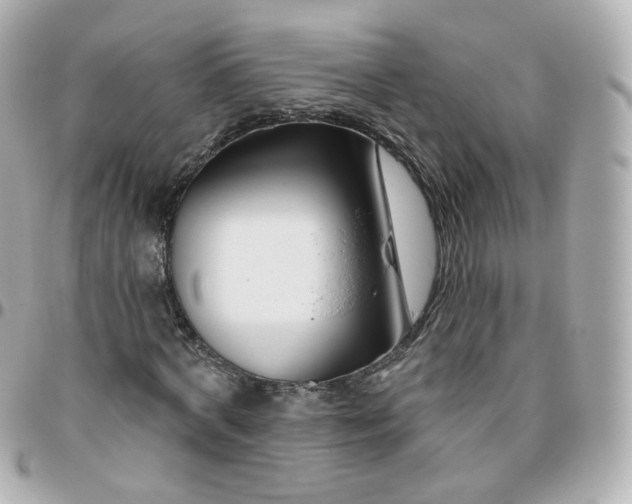 X0000095900772200802011127